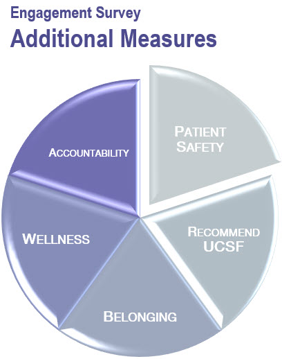 Engagement Survey Additional Measures: Accountability, Belonging, Wellness, Recommend UCSF, Patient Safety